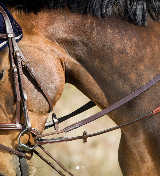 HFI Schlaufzügel Leder Kordel braun Pony