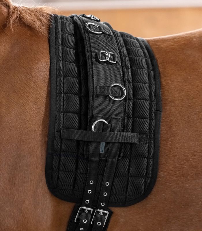 Waldhausen Longiergurt Supersoft schwarz