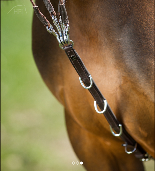 HFI Gogue schwarz-silber VB