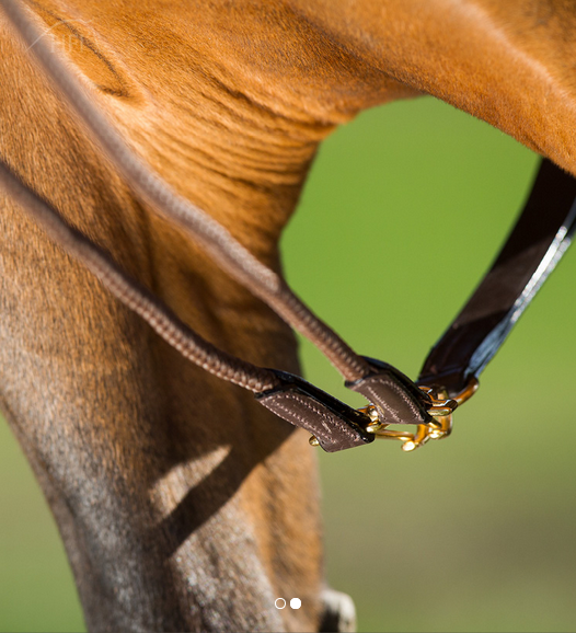 HFI Schlaufzügel Leder Kordel braun Pony