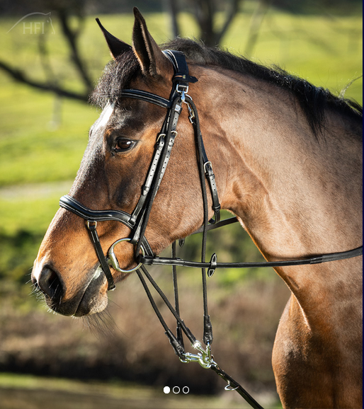 HFI Gogue schwarz Pony