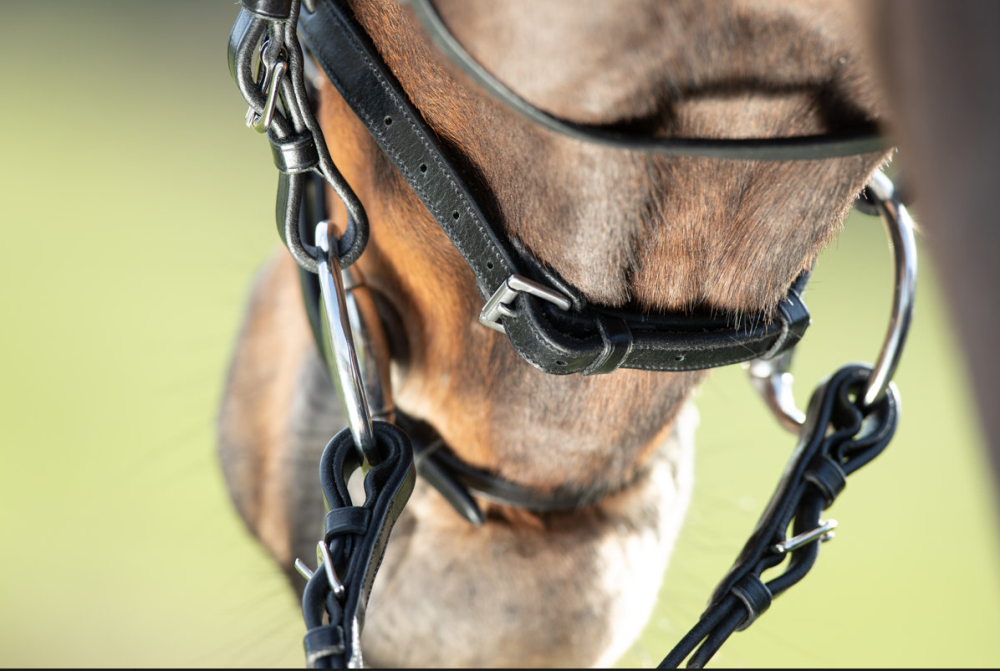 HFI Trense Regular black COB HFI Trense Regular black COB