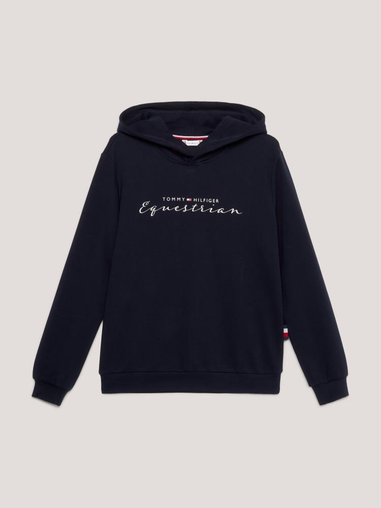 TH Metallic-Logo-Grafik Hoody desert sky TH Metallic-Logo-Grafik Hoody desert sky