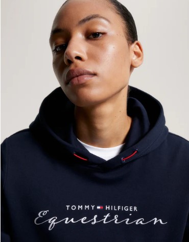 Tommy Hilfiger GREENWICH Grafik-Hoodie Desert Sky XXS