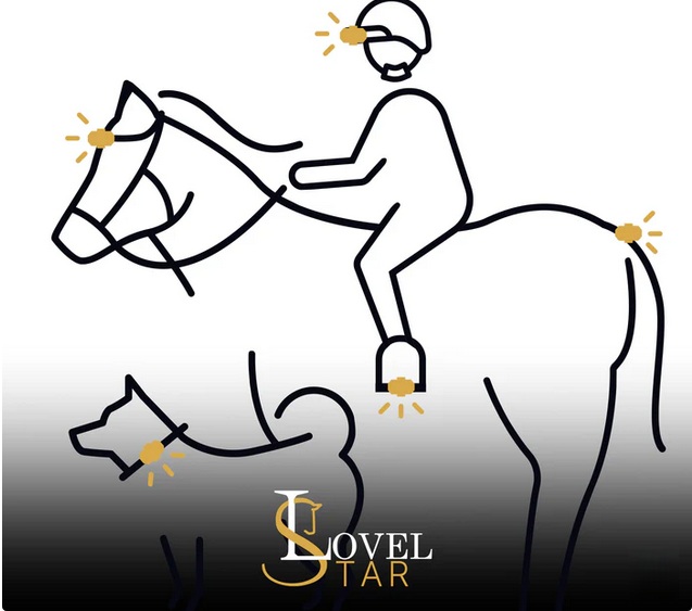 Lovelstar LED Spots 4er Set