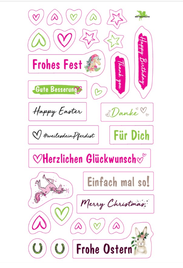 Geschenkset "SchmutzLiese" + StarFinish 500ml