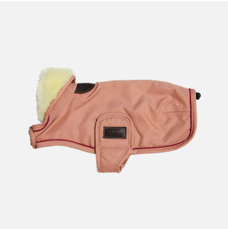 Kentucky Dogwear Hundemantel wasserdicht 160g Kentucky Dogwear Hundemantel wasserdicht 160g