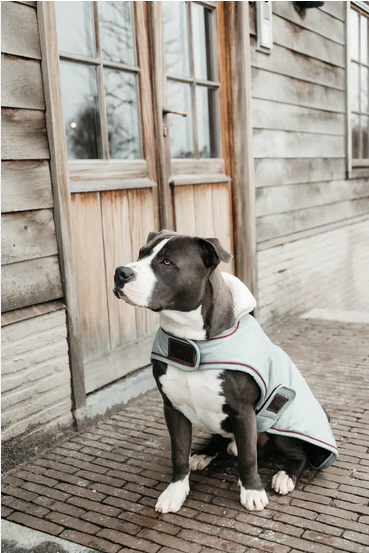 Kentucky Dogwear Hundemantel wasserdicht dusty blue S 35