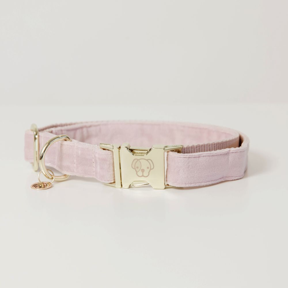 Kentucky Dogwear Hunde Halsband velvet Kentucky Dogwear Hunde Halsband velvet