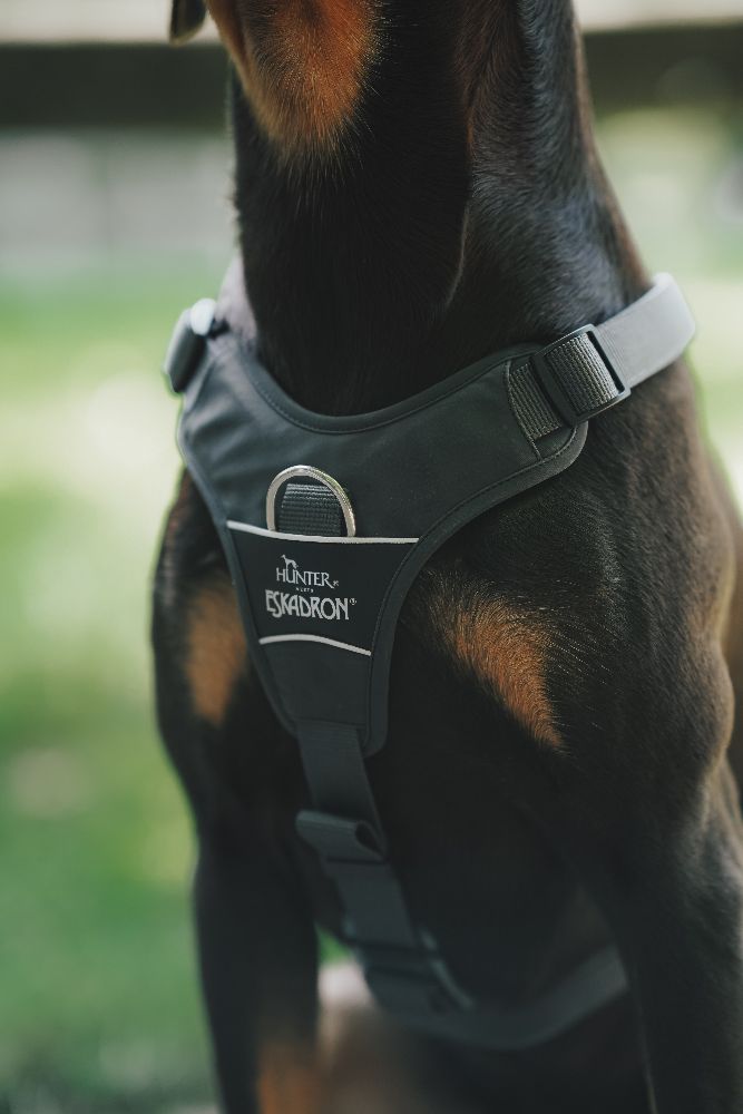 Eskadron x Hunter Hundegeschirr MOTION REFLECT anthrazit
