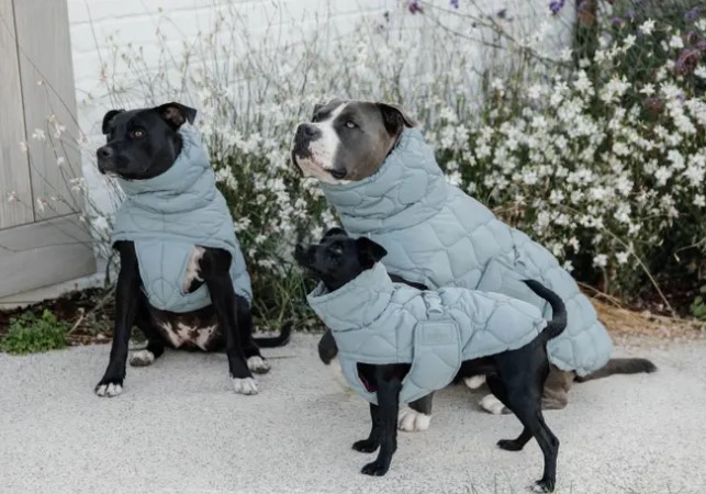 Kentucky Hundemantel Winter Pina dusty blue S