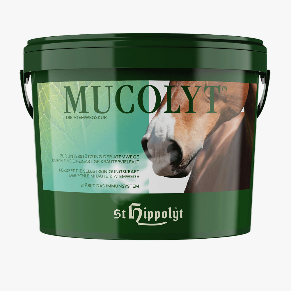 Mucolyt Atemwegskur