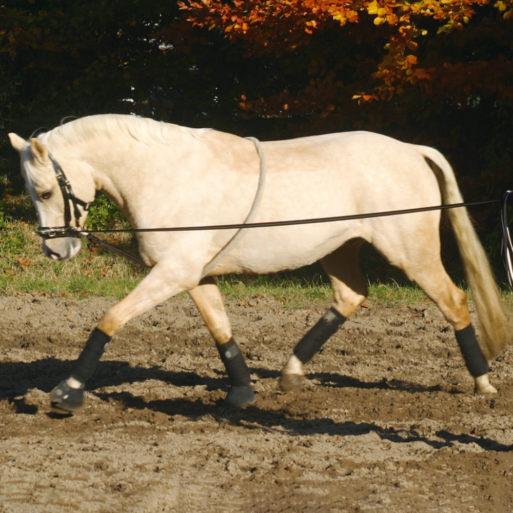 Busse Longierhilfe COTTON Busse Longierhilfe COTTON