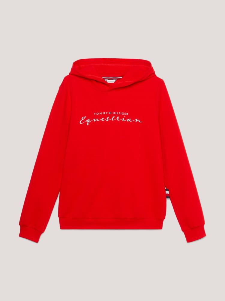 Tommy Hilfiger GREENWICH Grafik-Hoodie