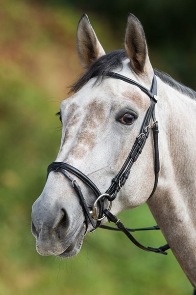 HFI Trense Regular black COB HFI Trense Regular black COB