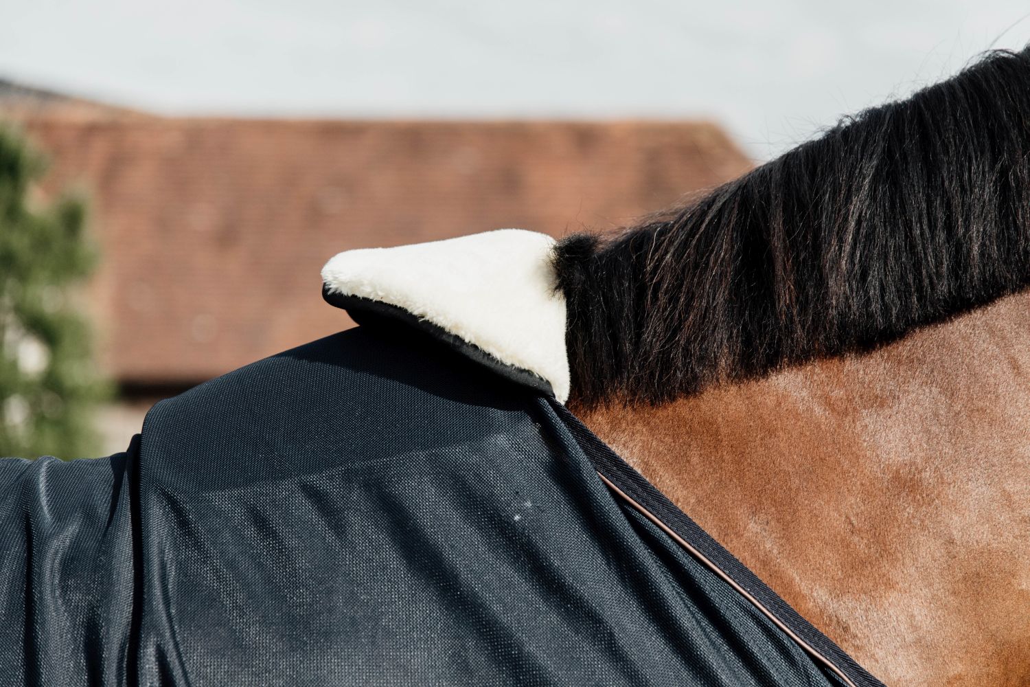Kentucky HW Horse BIB Widerristschutz Fell Full naturel