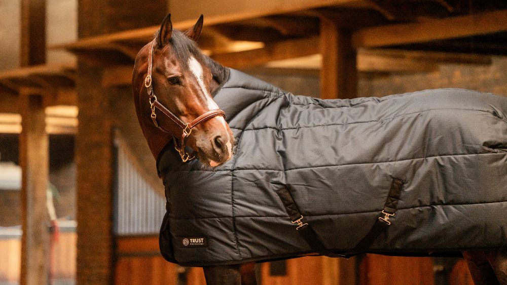 Trust Stalldecke Tetris navy 1,45 m