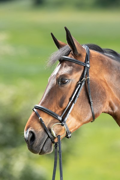 HFI Trense Comfort black COB HFI Trense Comfort black COB