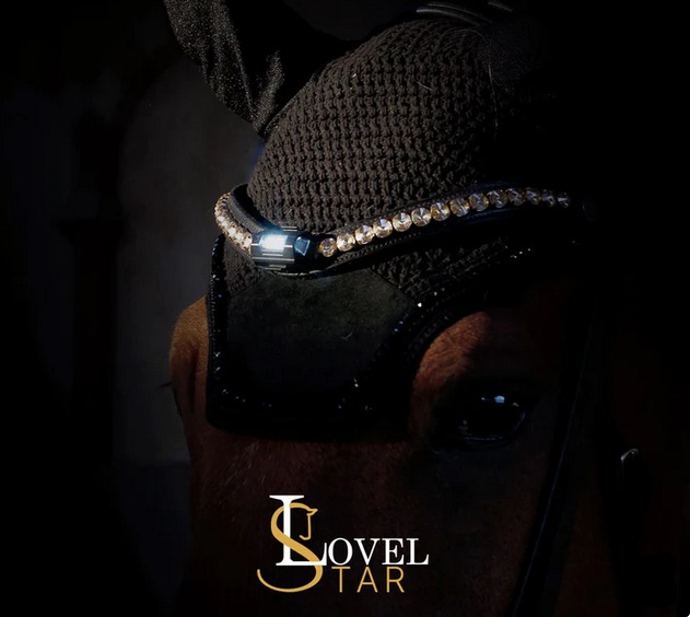 Lovelstar LED Spots 4er Set