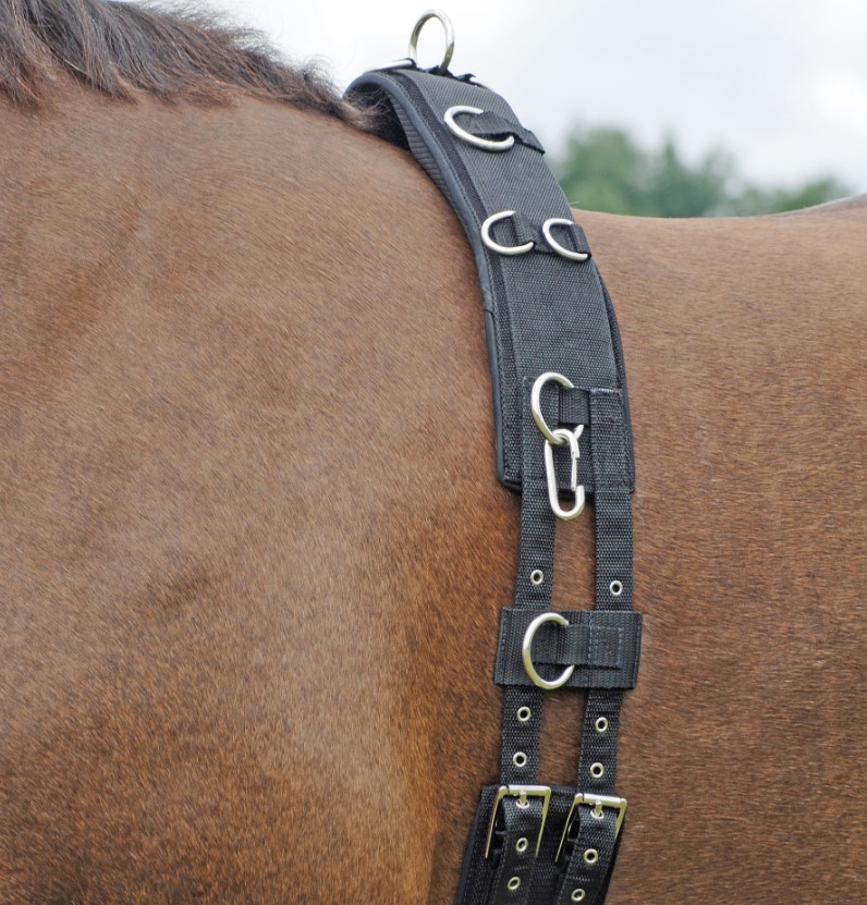 Busse Longiergurt PROFI-SOFT schwarz WB