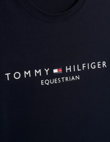 Tommy Hilfiger WILLIAMSBURG Herren T-Shirt Desert Sky S