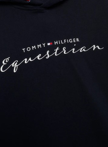 Tommy Hilfiger GREENWICH Grafik-Hoodie Desert Sky XXS