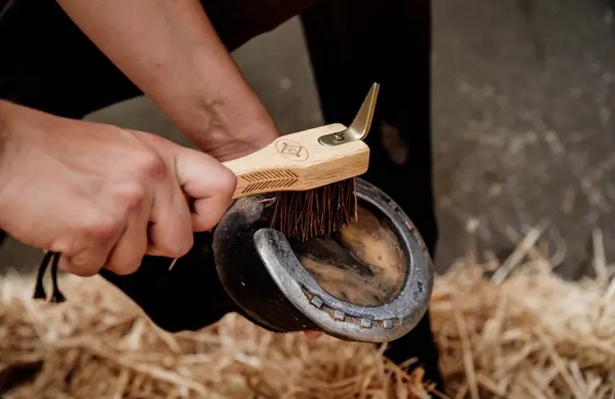 Kentucky Hoof Pick