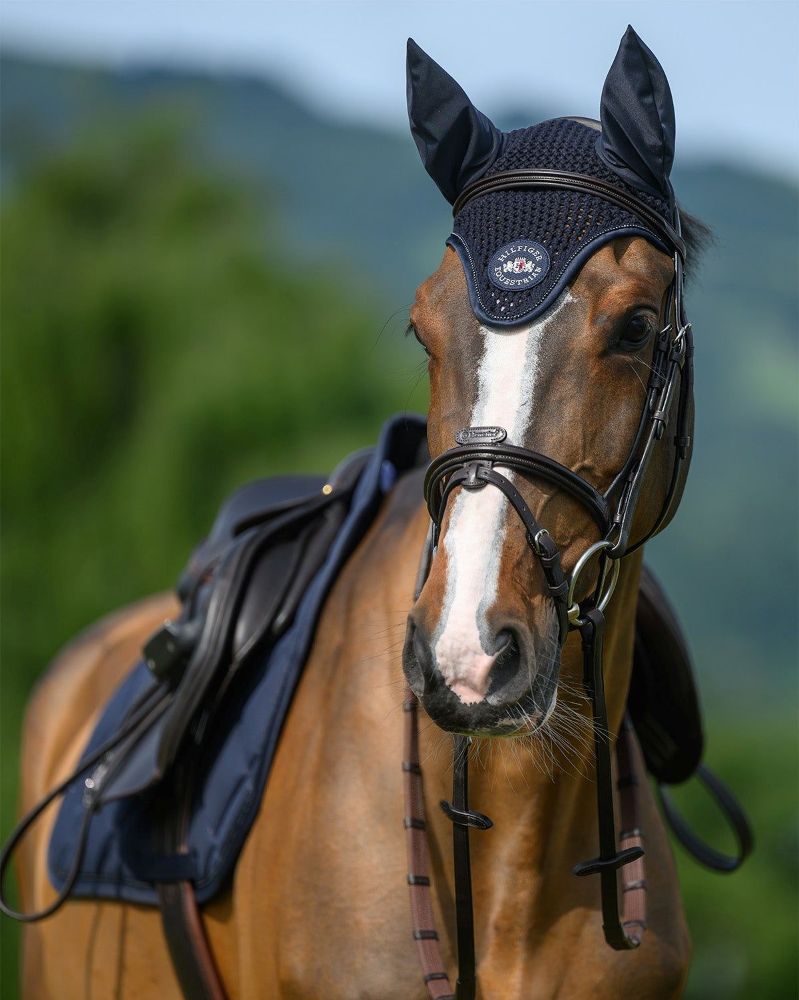 TH EMORY Fliegenhaube desert sky Full