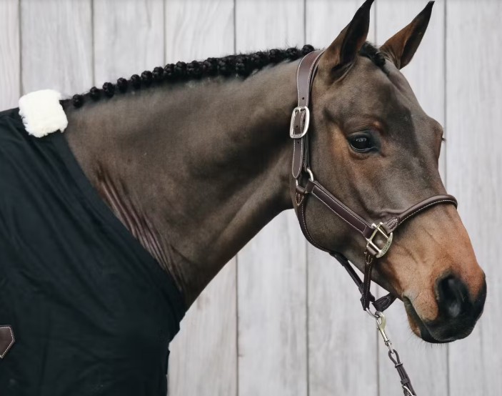 Kentucky Leder Halfter anatomisch