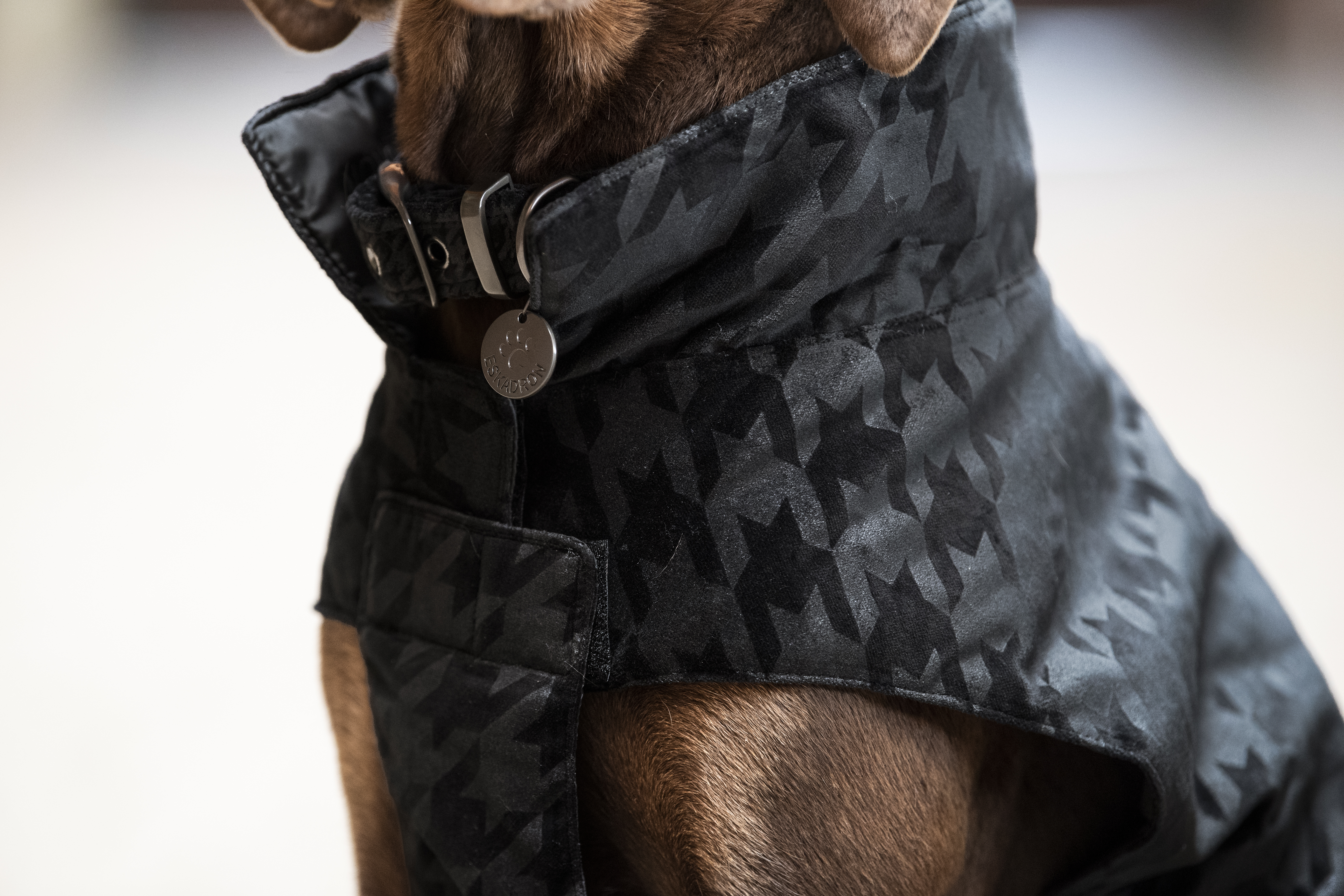 Eskadron Hundemantel Velvet Stamp Ess.AW22 black Eskadron Hundemantel Velvet Stamp Ess.AW22 black