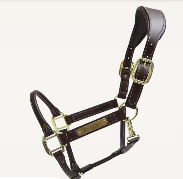 Kentucky Leder Halfter anatomisch