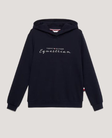 Tommy Hilfiger GREENWICH Grafik-Hoodie