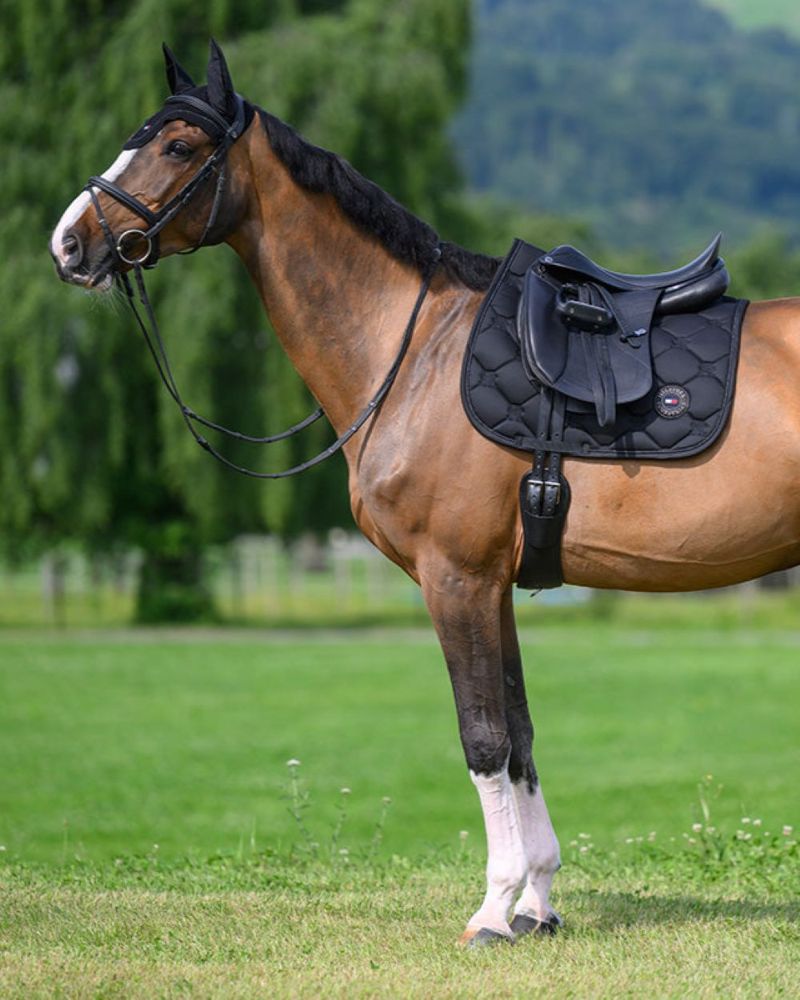 TH EMORY Schabracke DR desert sky Full