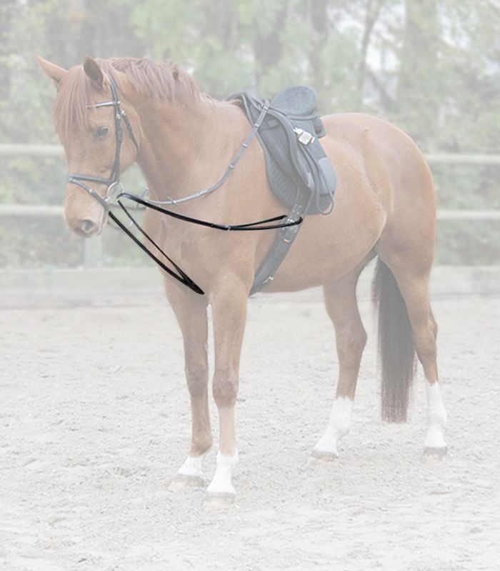 Waldhausen Dreieckszügel X-Line, schwarz Waldhausen Dreieckszügel X-Line, schwarz
