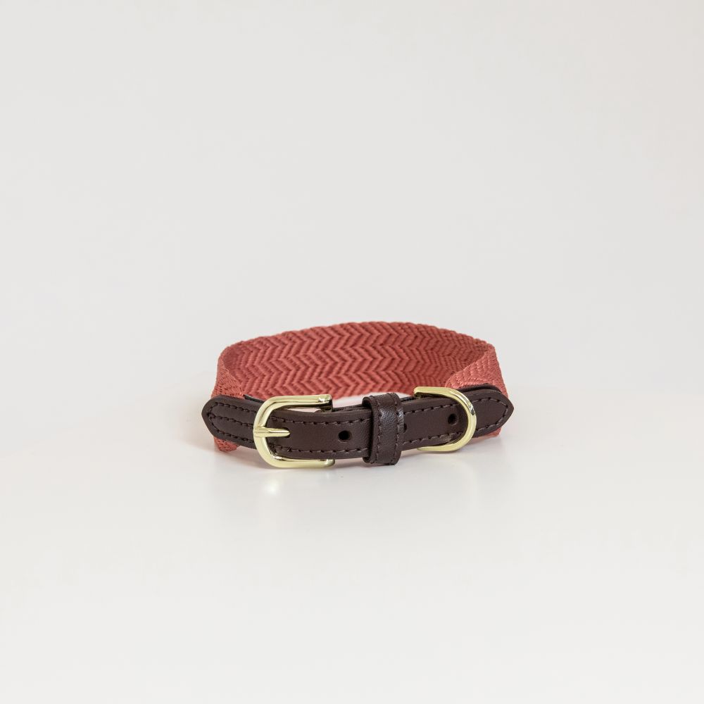 Kentucky Dogwear Hunde Halsband Jacquard